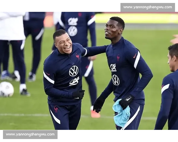 法国队与法国足球的较量：谁能笑到最后揭开胜利的面纱