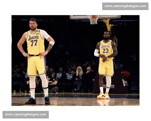 湖人对决热火总决赛G2完整视频回放詹眉联手高光全场解析深度回顾集锦