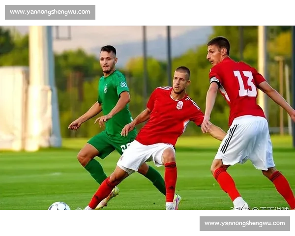 欧冠小组赛费伦茨vs尤文图斯强强碰撞战术与明星对决前瞻