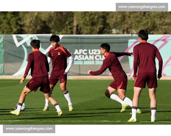 男足迎战捷克关键对决检验阵容磨合冲击新突破实战演练锻造信心