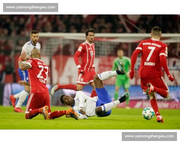 美因茨主场迎战拜仁慕尼黑德甲焦点强强对话前瞻胜负走势与战术博弈解析